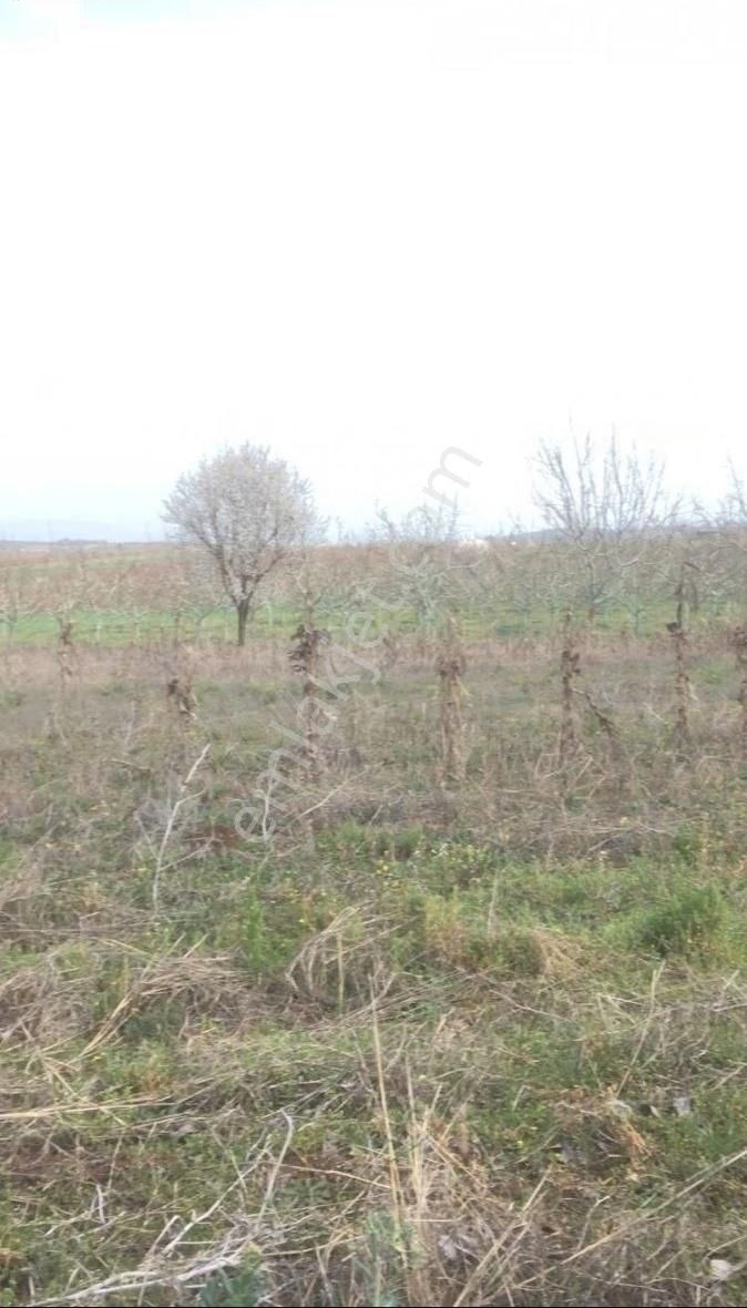 Yatırımlık Muhteşem Tarla