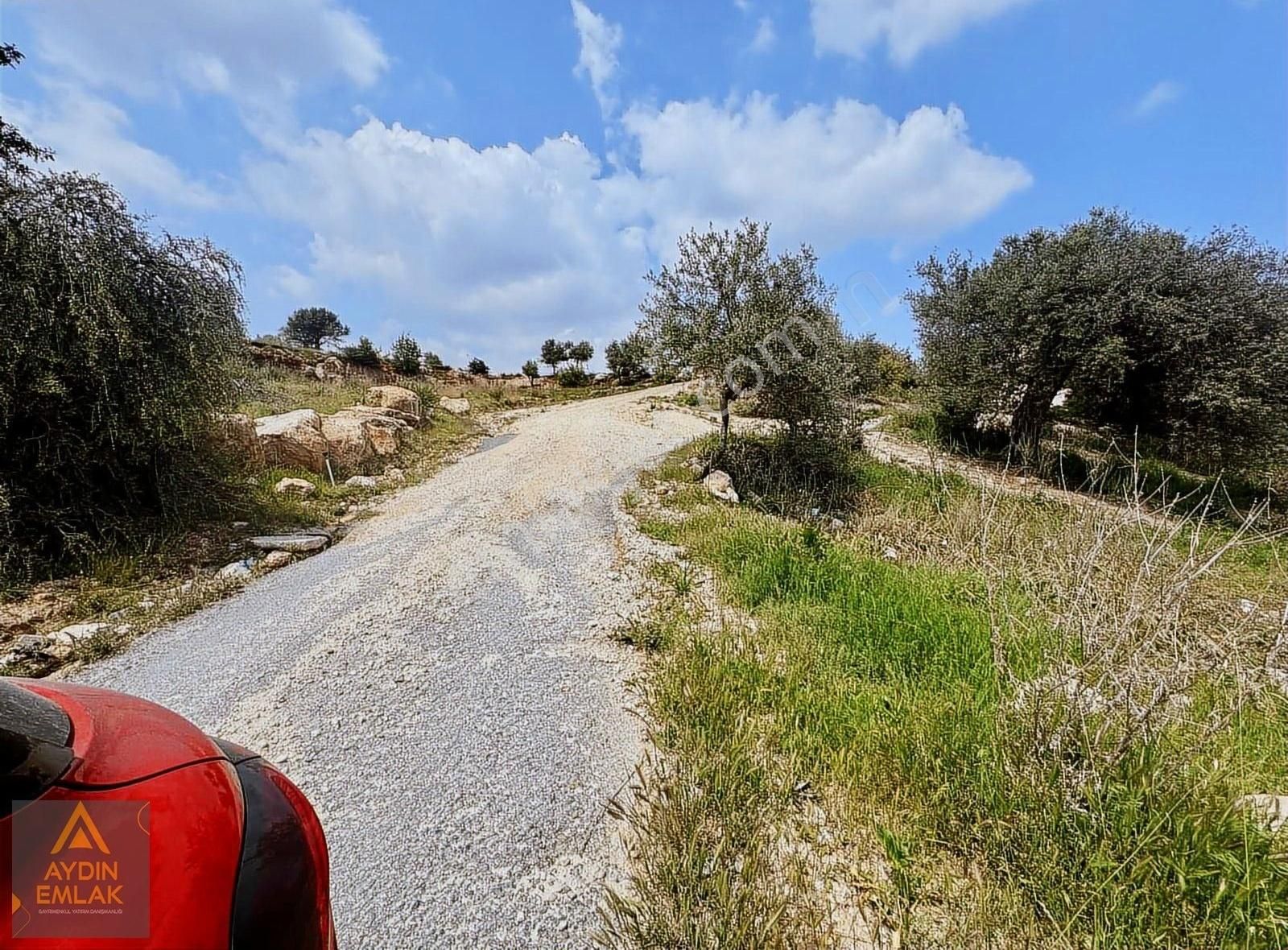 Doğa'dan*karadirlik Arsa Yol Cepheli Doğa Manzara**aydından*