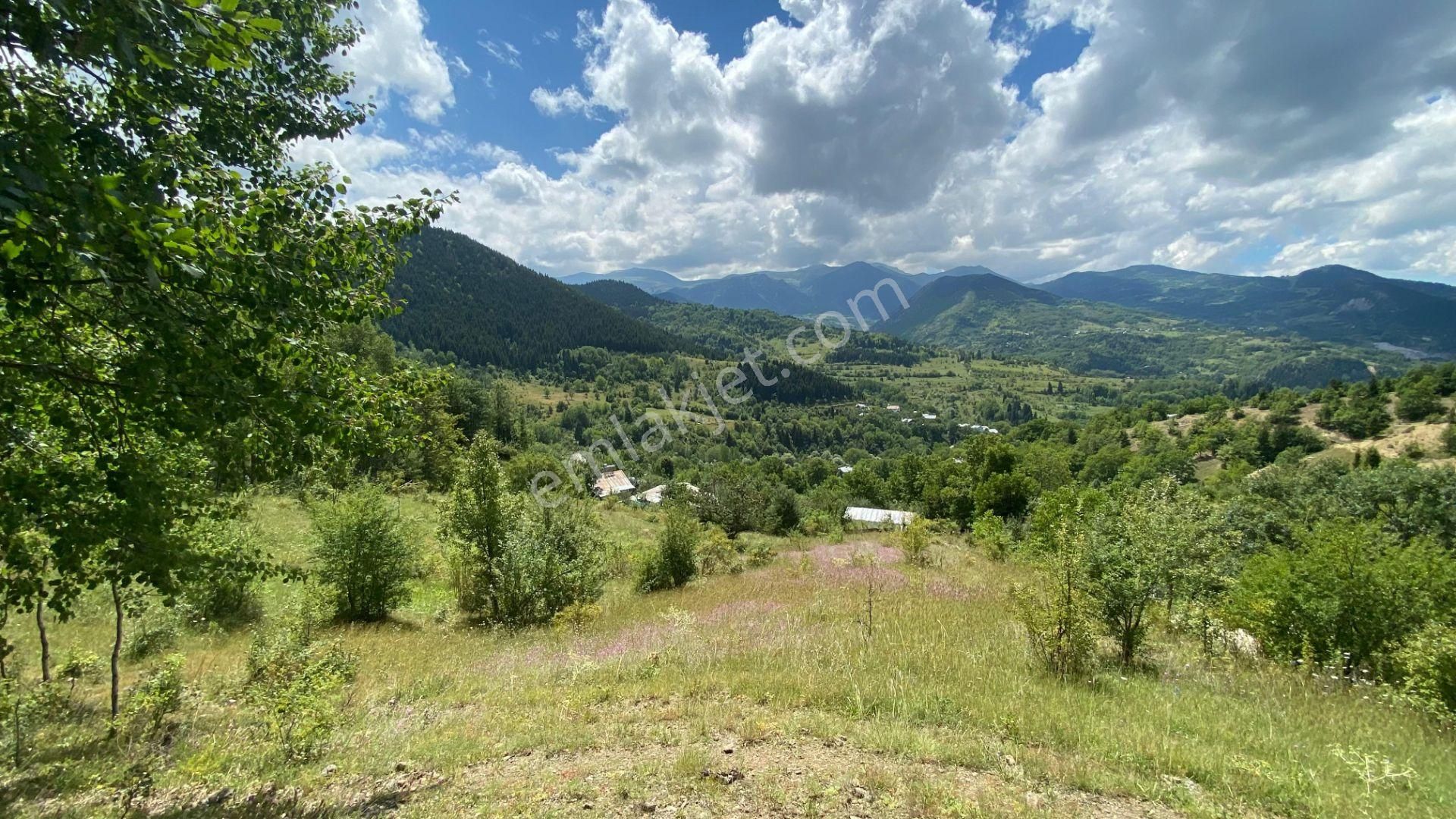 Bursa Kılıç Tan Artvin Şavşat Kireçli De Satılık 1341m2 Tarla