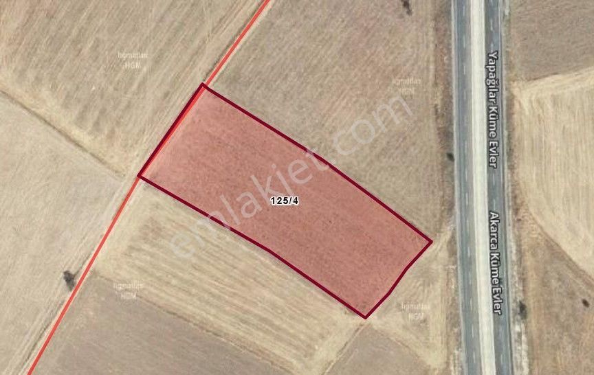 Uşak Sivaslı Akarca Köyünde 6000 M2 Satılık Tarla