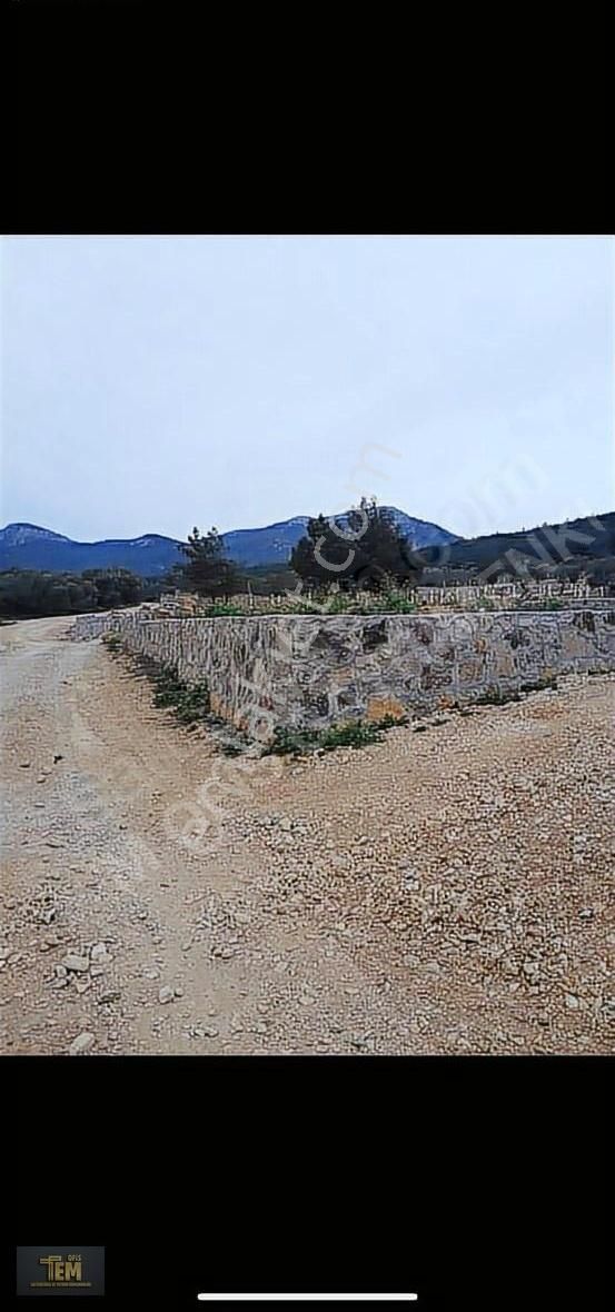 Taşduvarlı Bahçemiz Satışta - Görsel 2