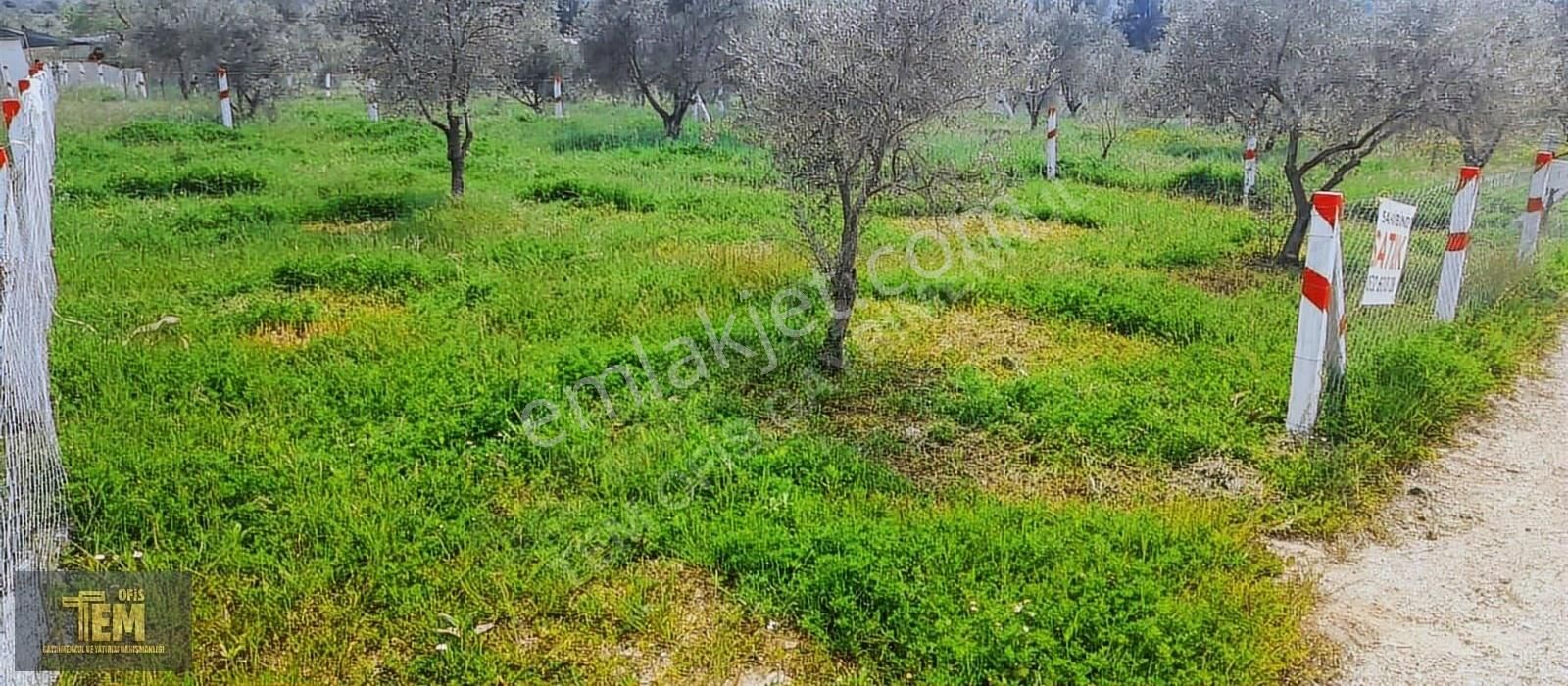 Doğanın Kalbinden Bahçe