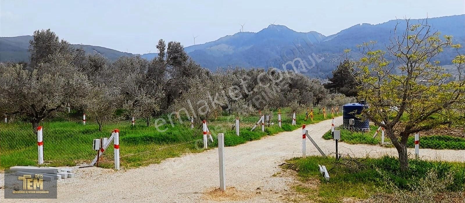 Doğanın Kalbinden Bahçe - Görsel 4
