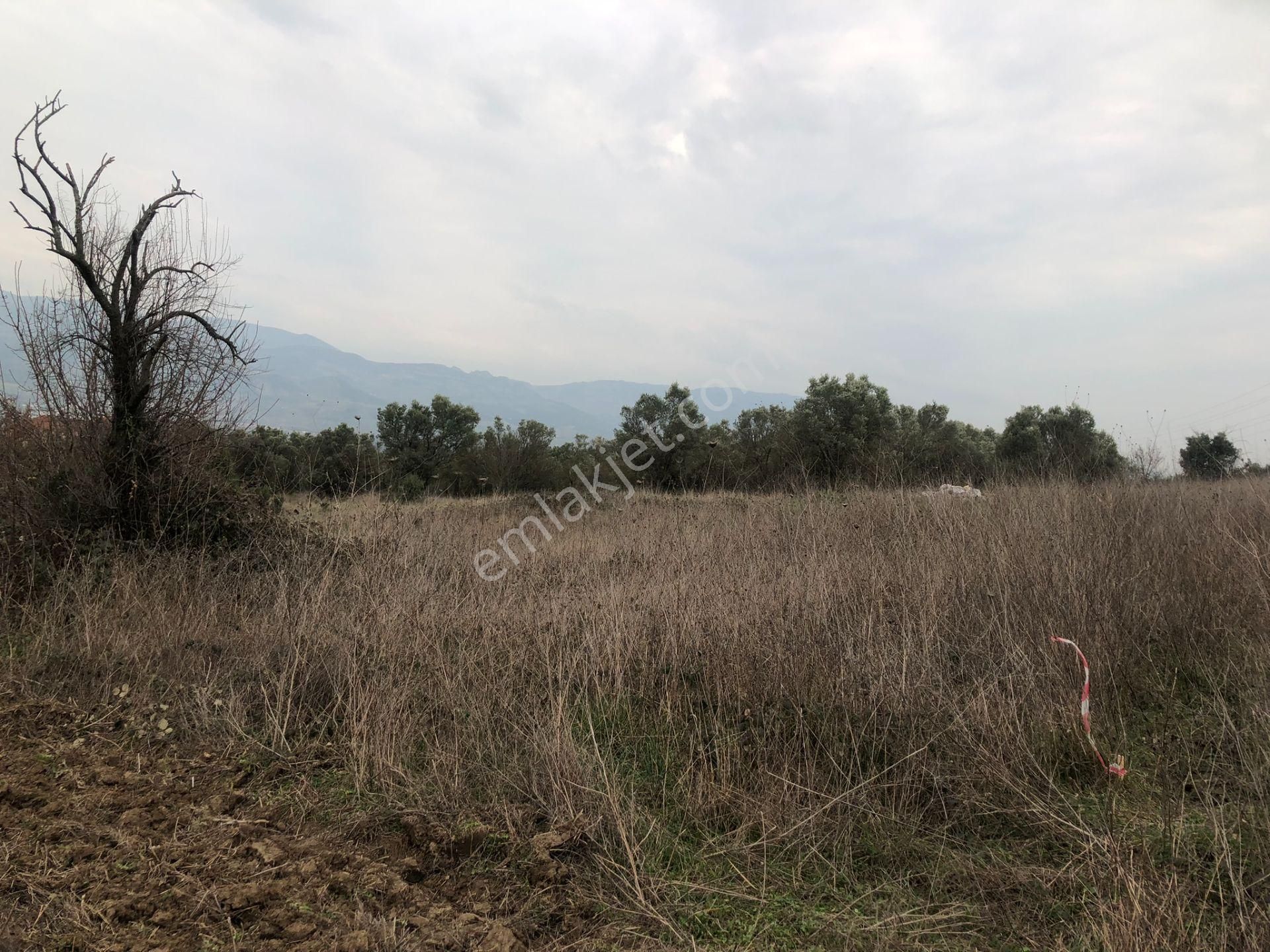 Sakarya Geyve Düzakçaşehir'de Kaçmaz Yatırımlık Tarla