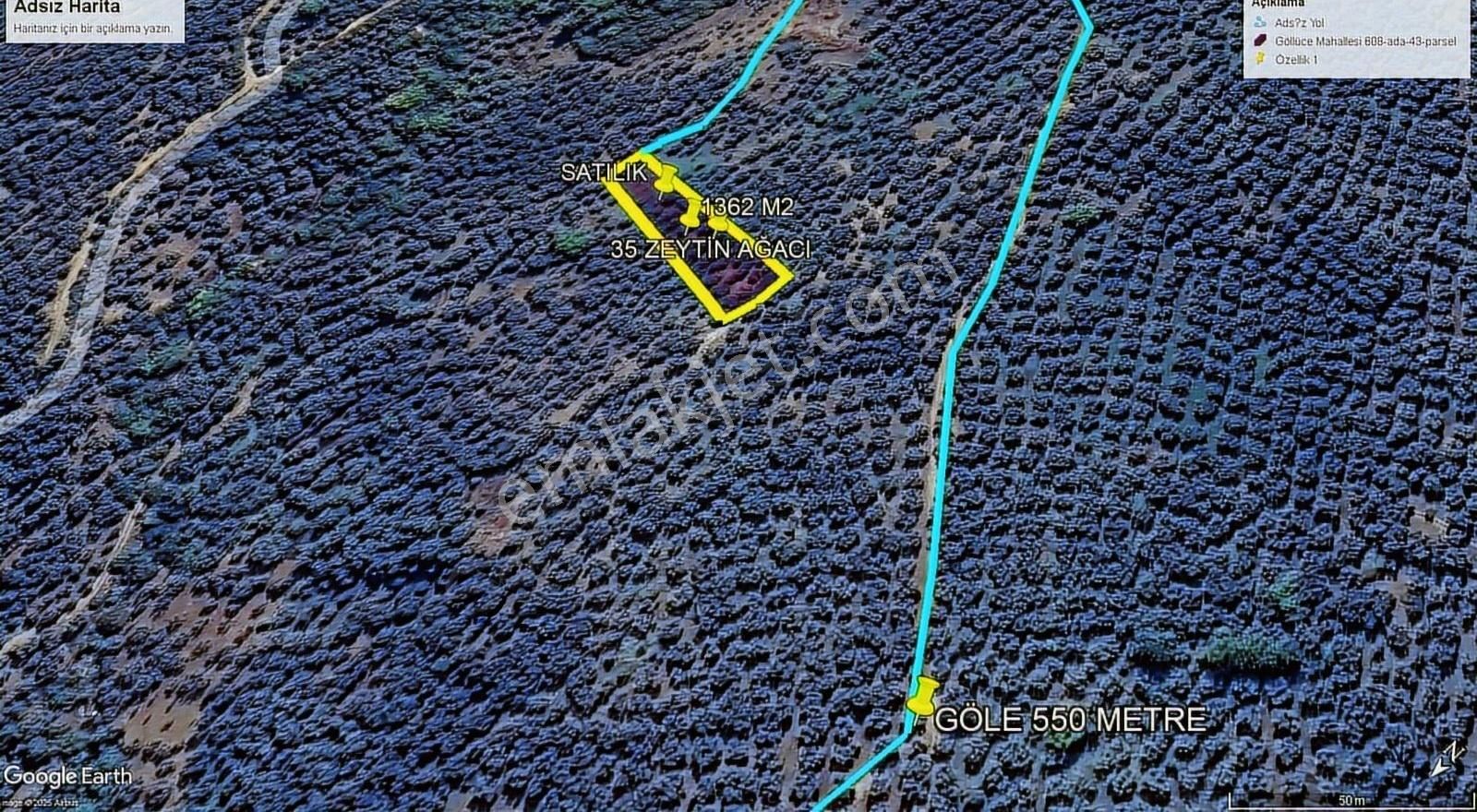 Bursa İznik Göllüce De 35 Ağaçlı 1362 M2 Satılık Fırsat Zeytinli