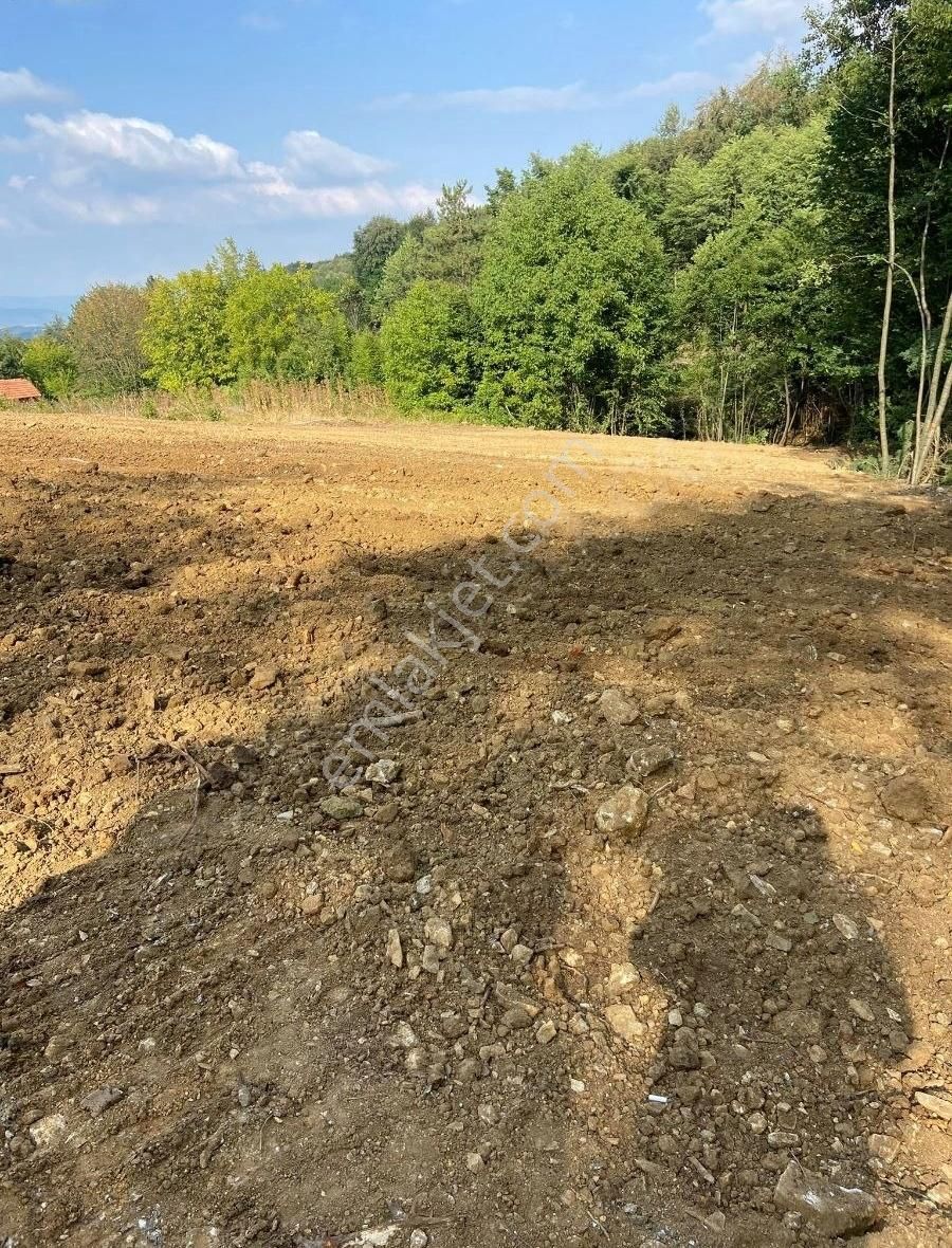 Lütfiyede 1535 M2 İçinde 4 Tapu Her Biri Satılık 383 M2 Tarla