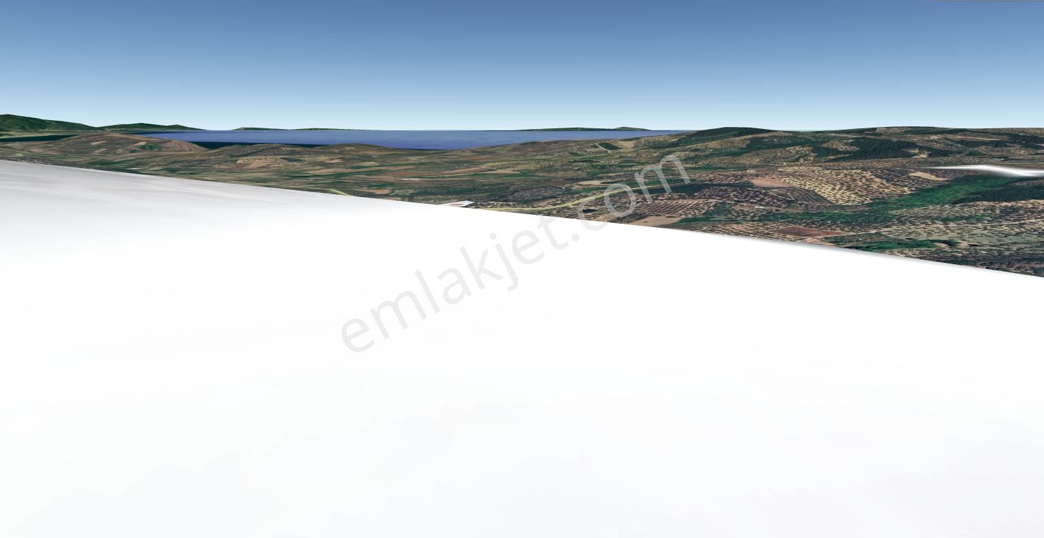 Mudanya Trilye Talatbey'de Satılık 4581mt2 Tek Tapu Zeytinlik