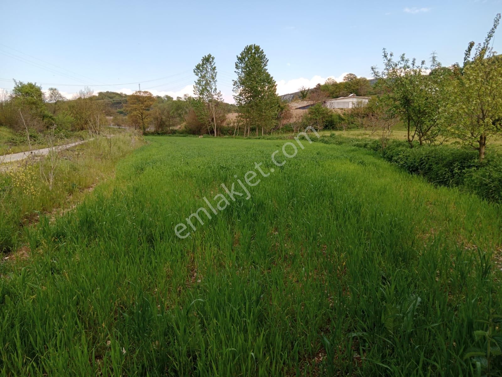 Bursa Kestel Erdogan Koy 2.000 M(13) @