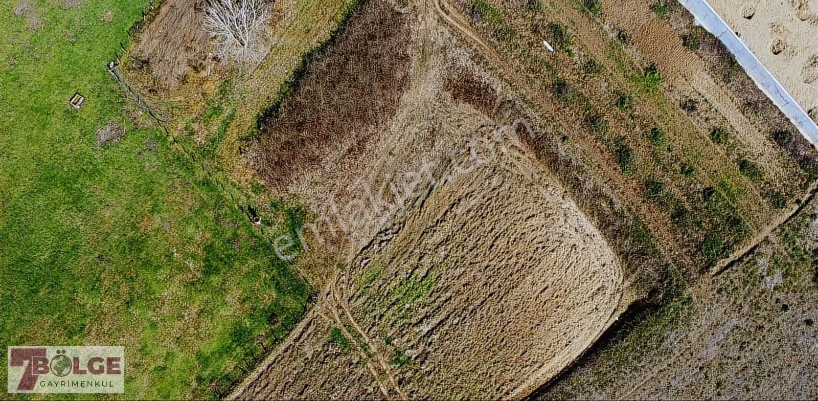 Sakarya Kaynarca Ömerağa Mahallesi'nde 570 M2 Köyiçi İmarlı Arsa