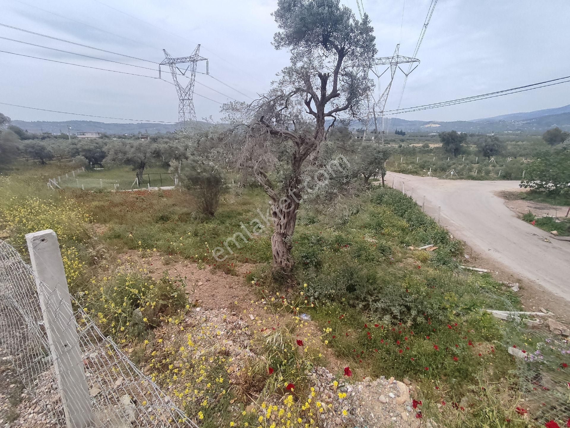 Karakuyu Köy İçi 3 Kat İmarlı Hisseli