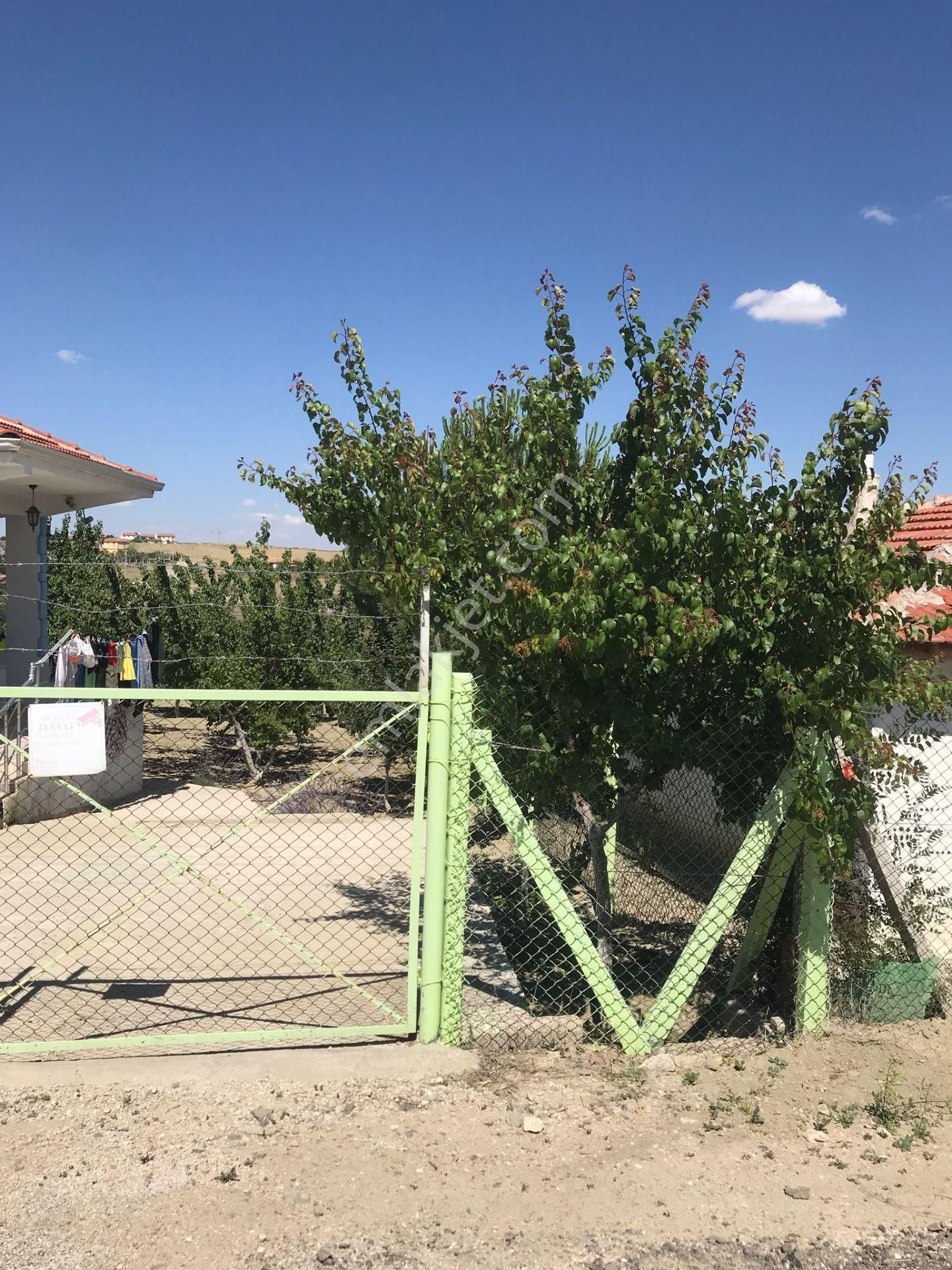 Polatlı Bağ Evlerinde Satılık Bağ Evi - Görsel 2