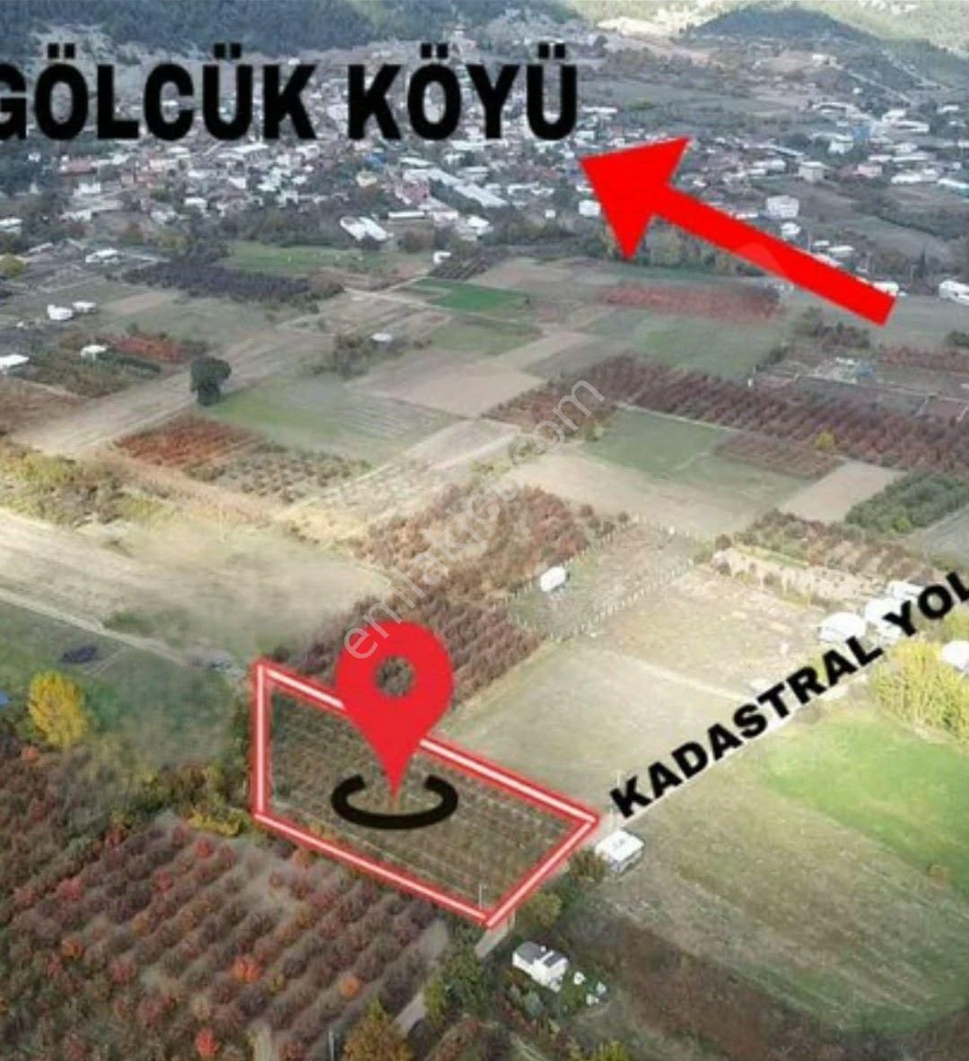Kestel Gölcük'te Bakımlı Meyve Bahçesi