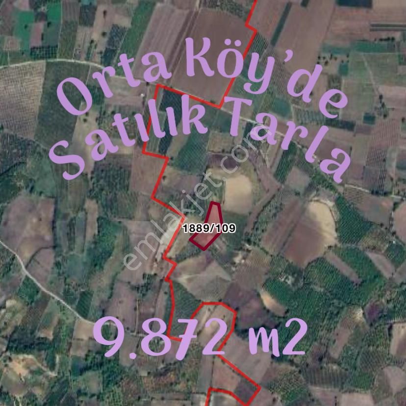 Altınbaş Emlak'tan Orta Köy'de Satılık Verimli Tarla