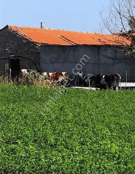 3450m İmarli 24 Daire Yapılabilen İmarlı Fırsat Yatırım - Görsel 5