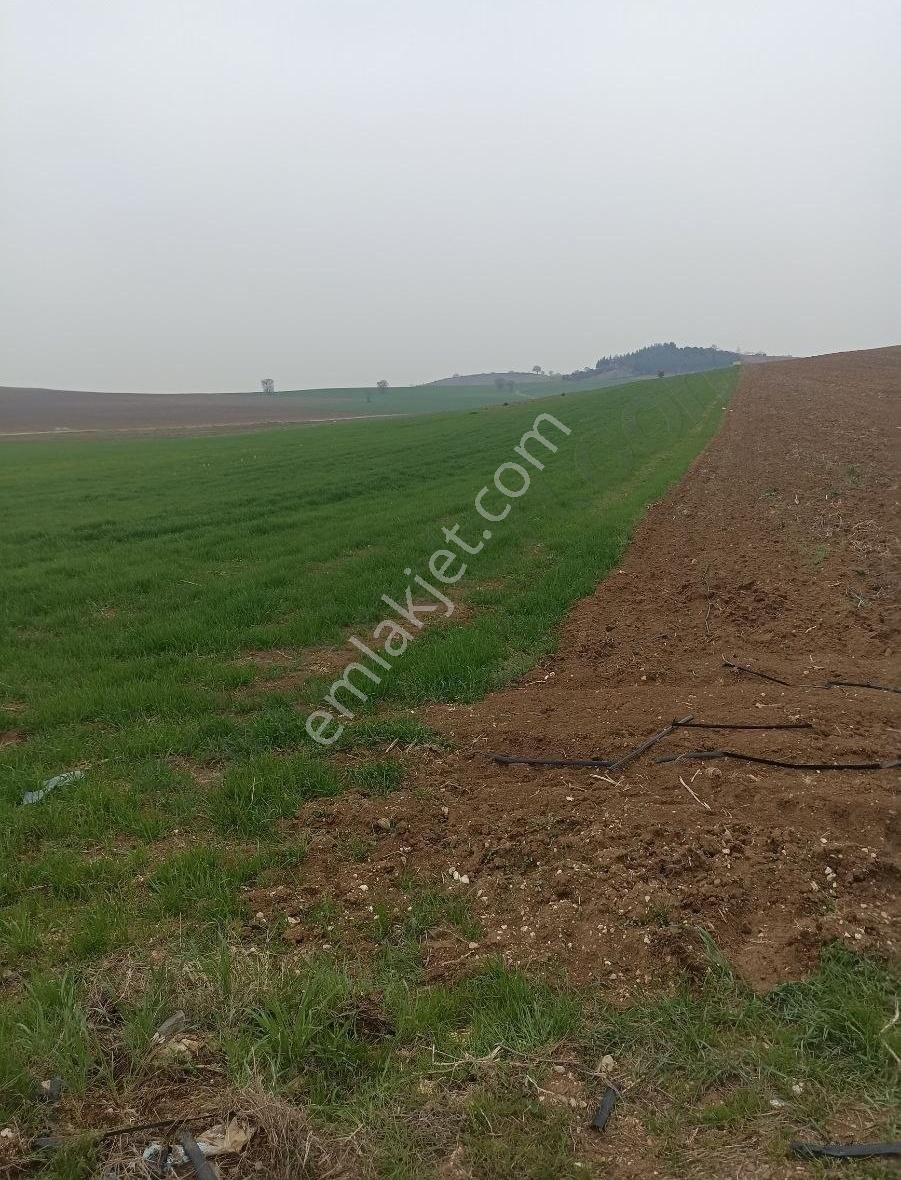 6300m Bilecik Yoluna1850m Resmiyolu Stabil Suyuvar