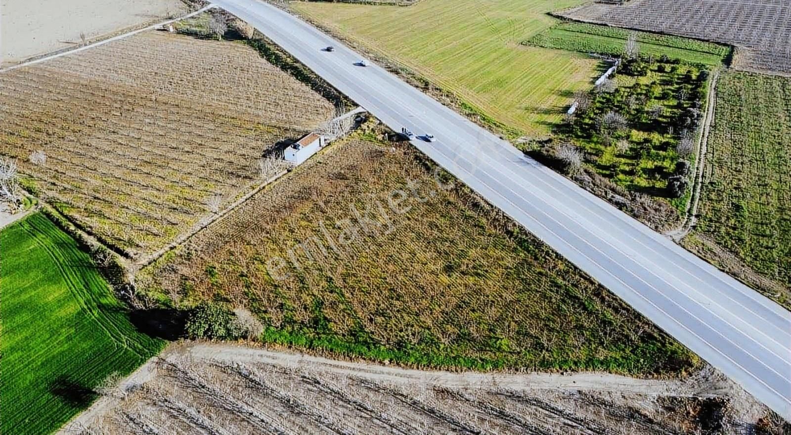 Tire Koca Emlaktan Selçuk Yolu Üzeri Satılık Tarla - Görsel 3