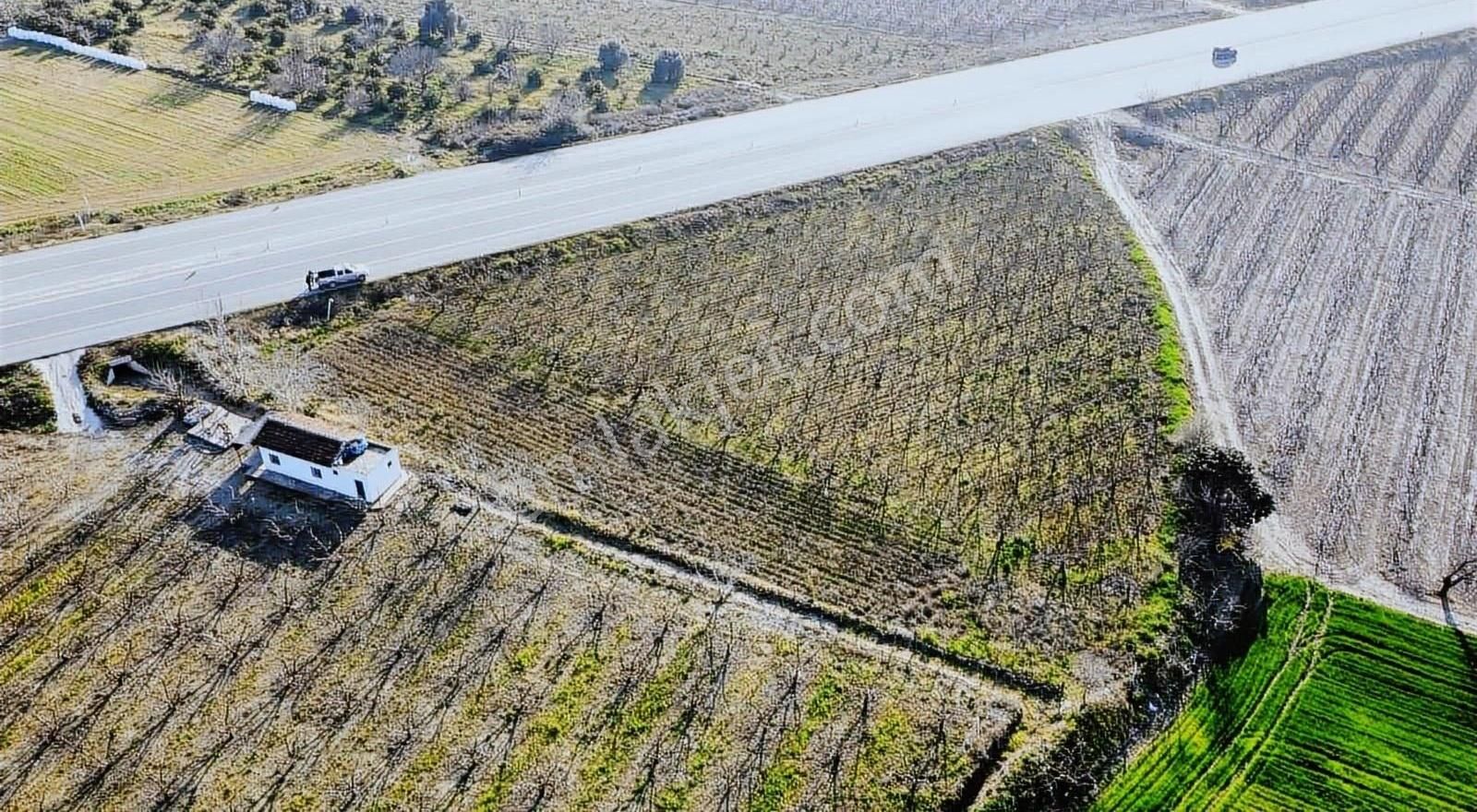 Tire Koca Emlaktan Selçuk Yolu Üzeri Satılık Tarla - Görsel 2