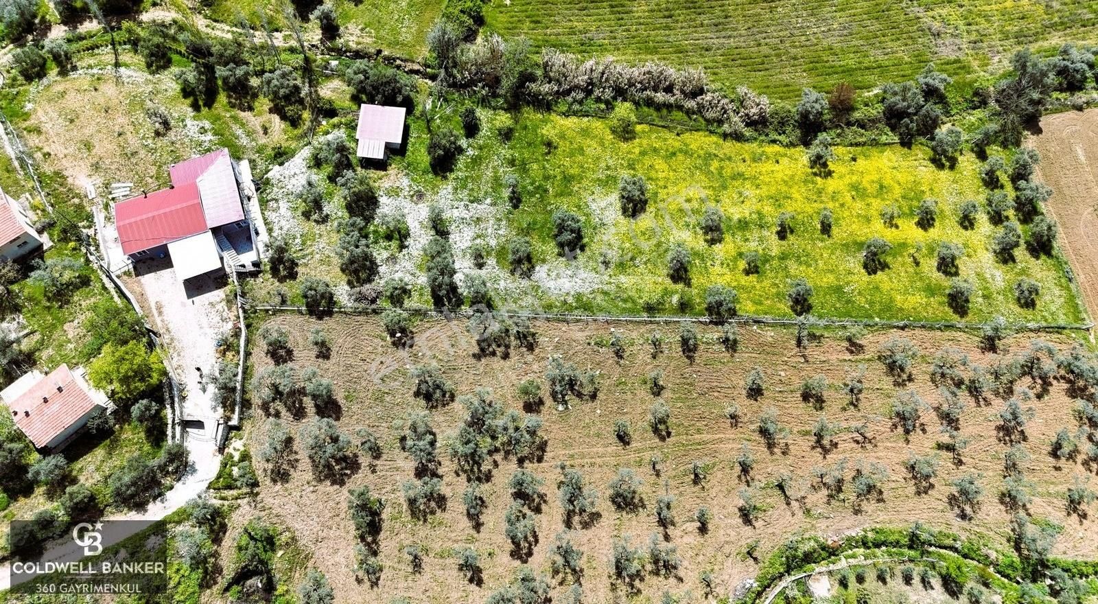 Torbalı Ormanköy'de İçinde 200 M2 Ev Olan Satılık 7 Dönüm Tarla