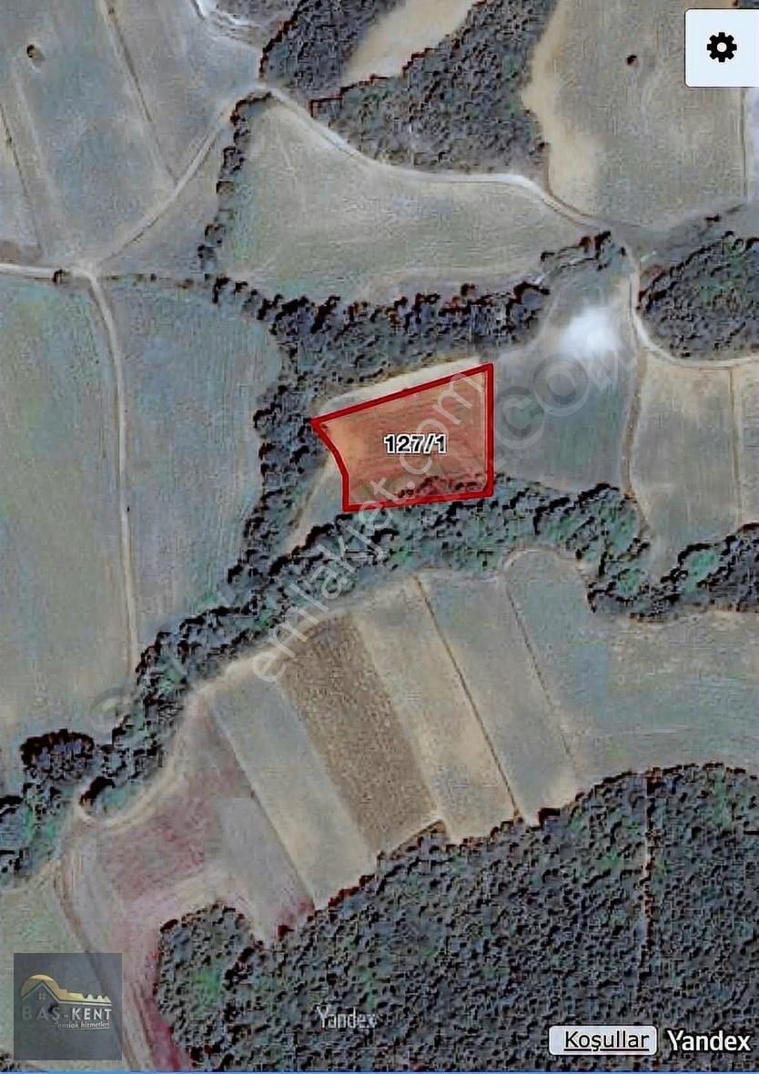 Malkara Yenidibekte Satılık 3750 M2 Muhteşem Tarla Tek Tapu