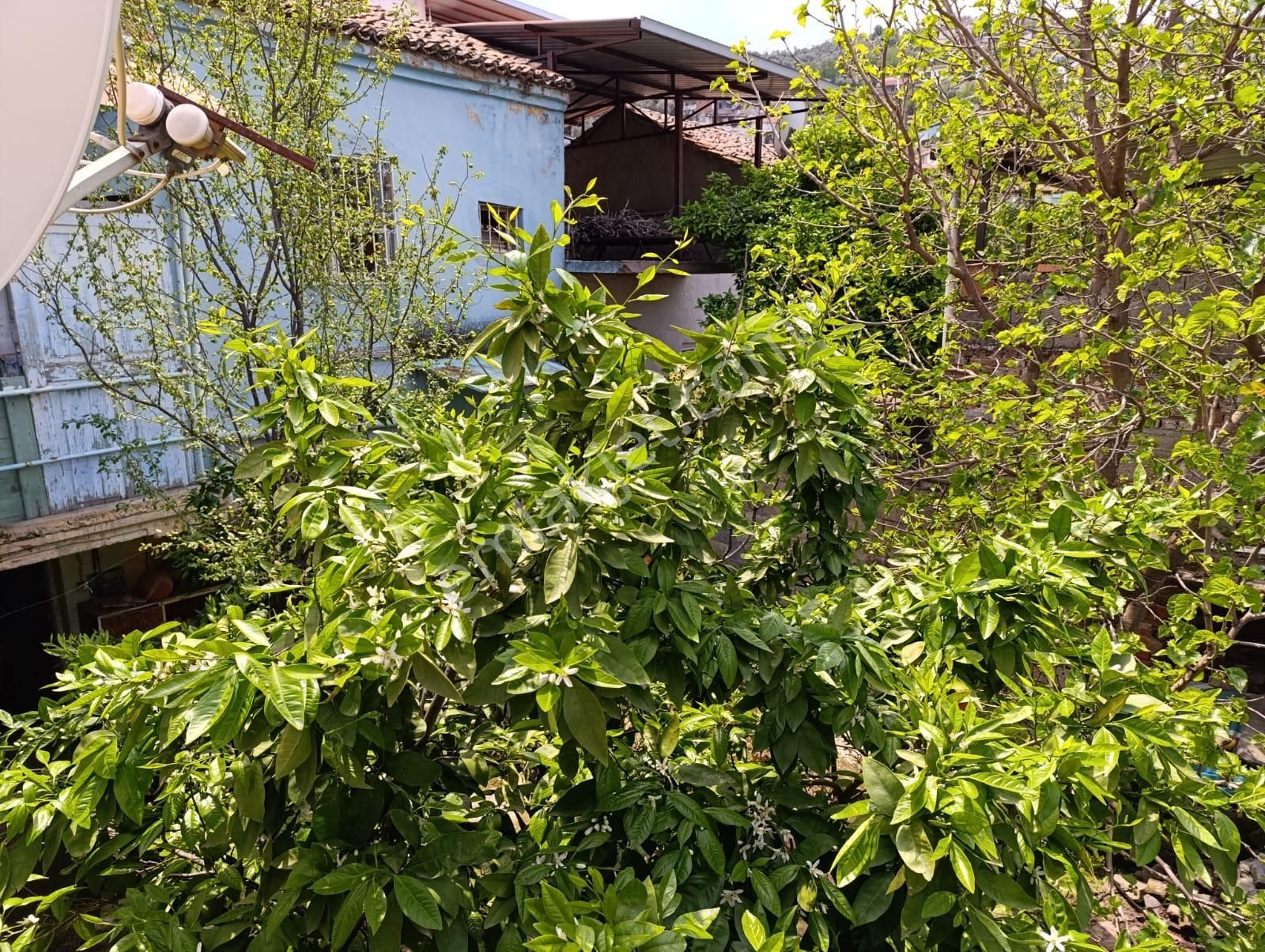 İzmir Tire'de Evsiz Kalmayın..! Bakımlı Müstakil Evimizi Satıyoruz. - Görsel 2