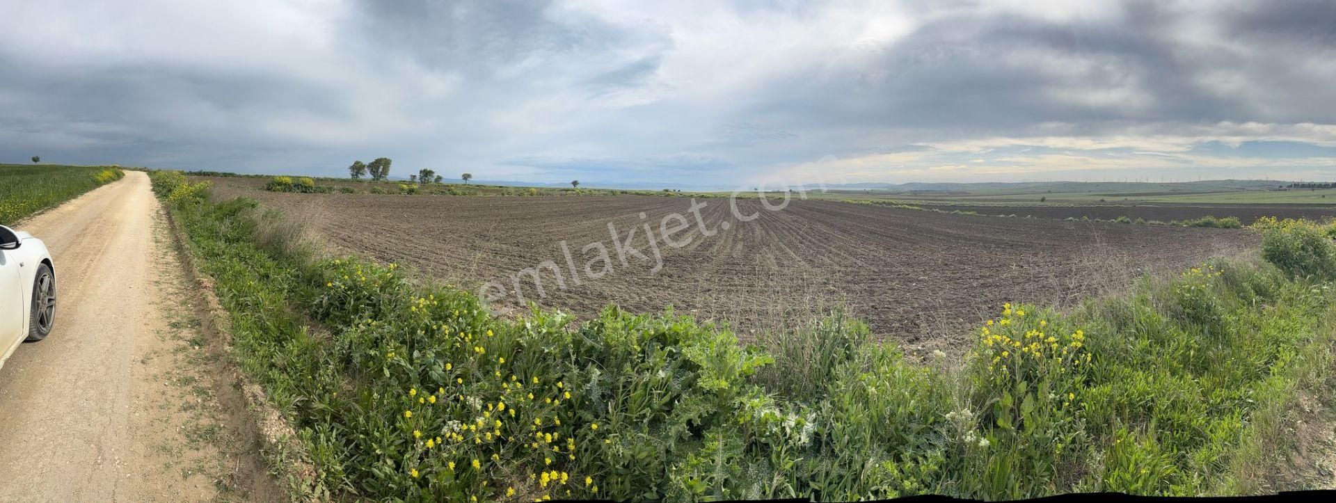 Gelibolu/demirtepe Köprü Ve Deniz Manzaralı Satılık Tarla