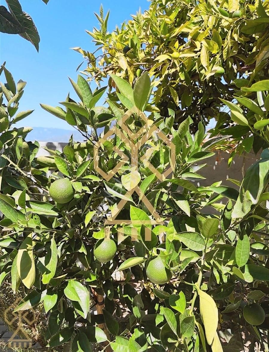 Havran Çamdibi'nde Tam Müstakil Yaşam İsteyenlere... - Görsel 2