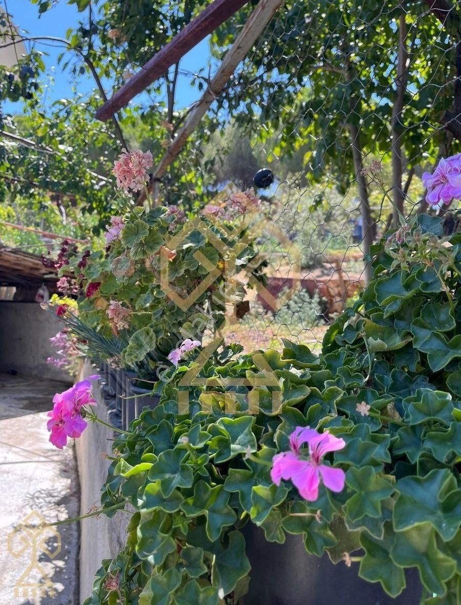 Havran Çamdibi'nde Tam Müstakil Yaşam İsteyenlere... - Görsel 16