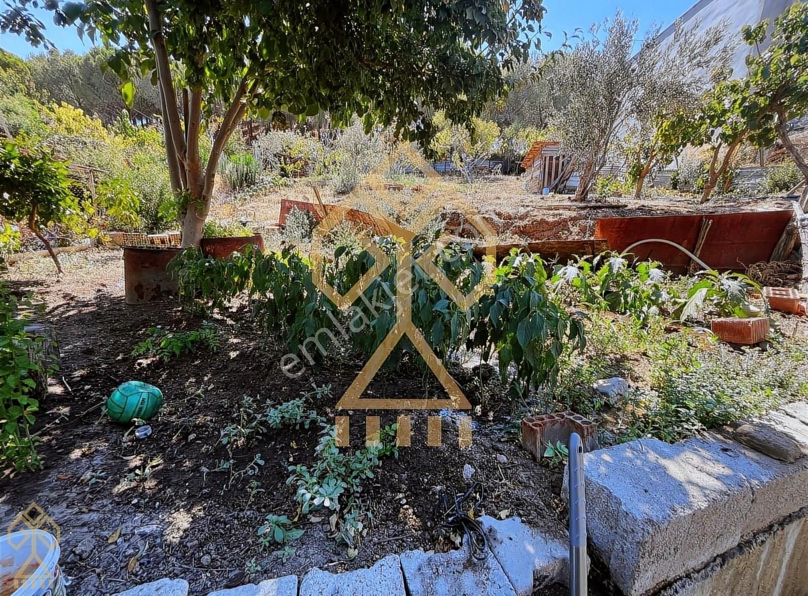 Havran Çamdibi'nde Tam Müstakil Yaşam İsteyenlere... - Görsel 13