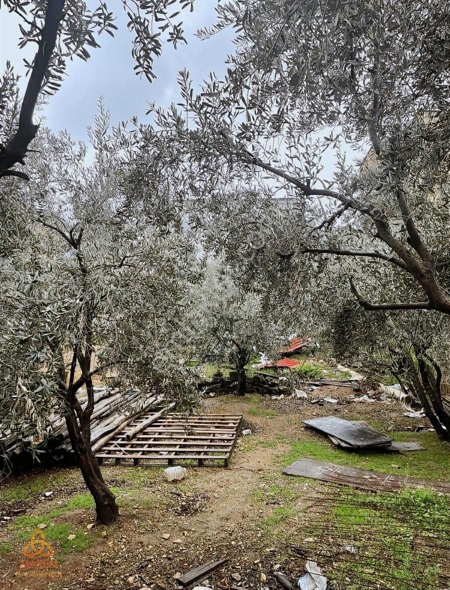 Sergentepe Ortaokulu Arkası Satılık Arsa