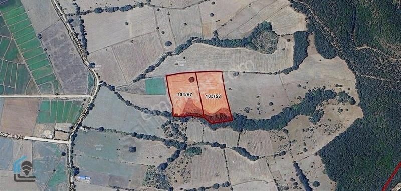 Biga Hoşaba 18.500 M2 Satılık Tarla