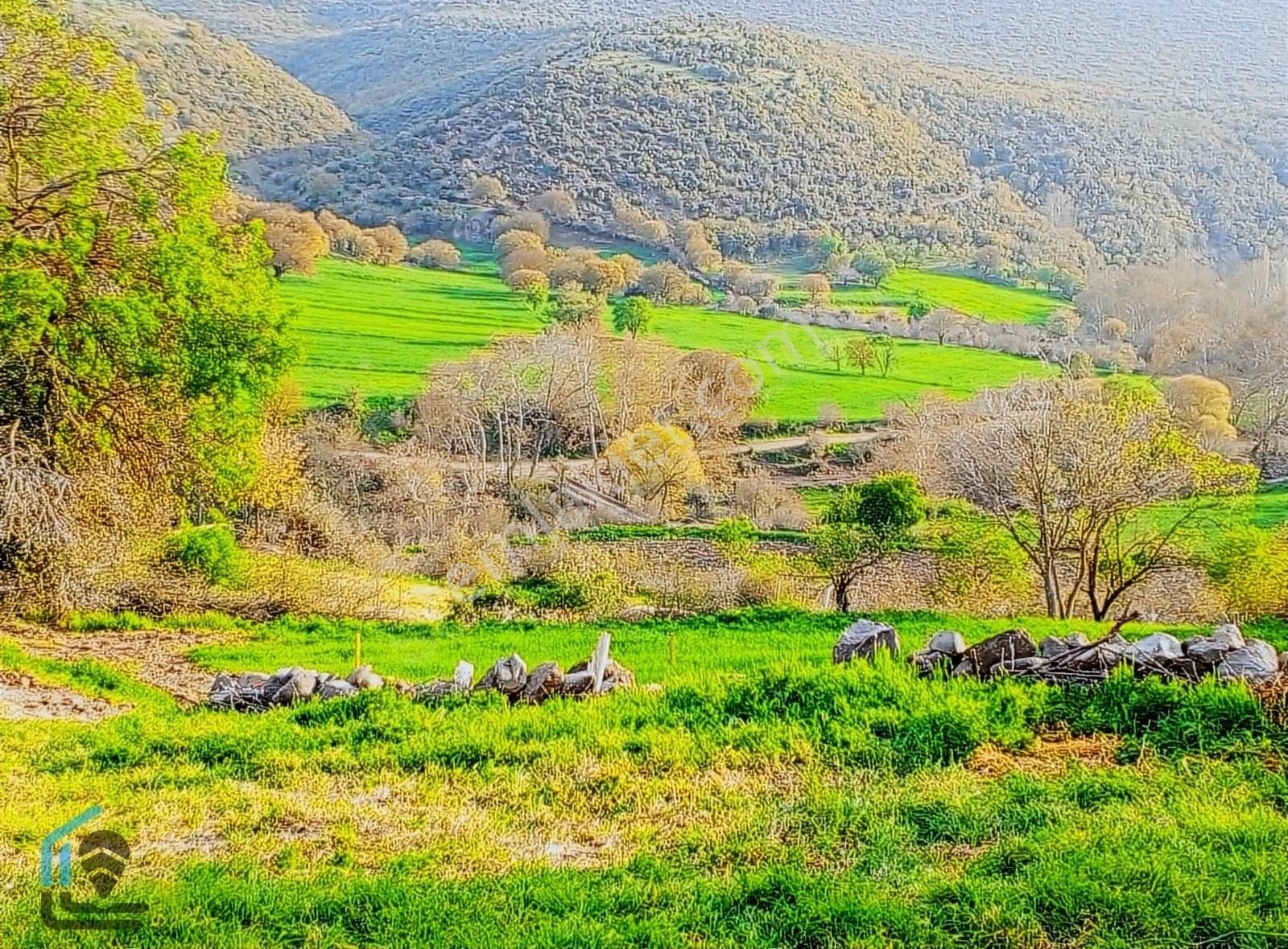 Kepsut Bağtepe'de Muhteşem Manzaralı Arsalar