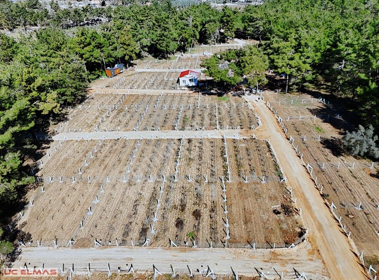 Üç Elmastan Doğa İçinde Otobüs Durağı Yanında 245 M²süper Bahçe