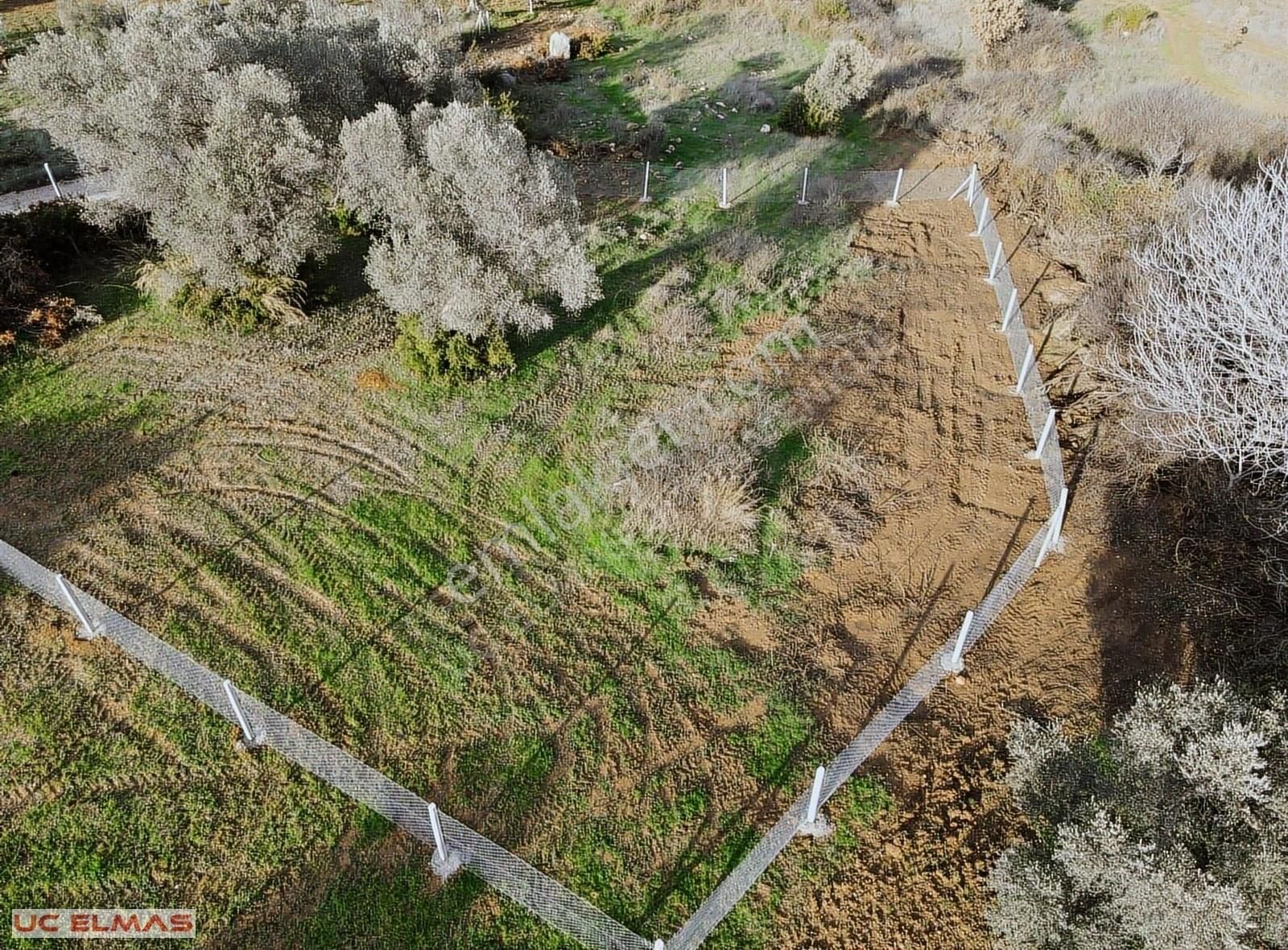 Üç Elmastan Benzeri Olmayan 1.110 M² Tapulu Masal Gibi Bahçe
