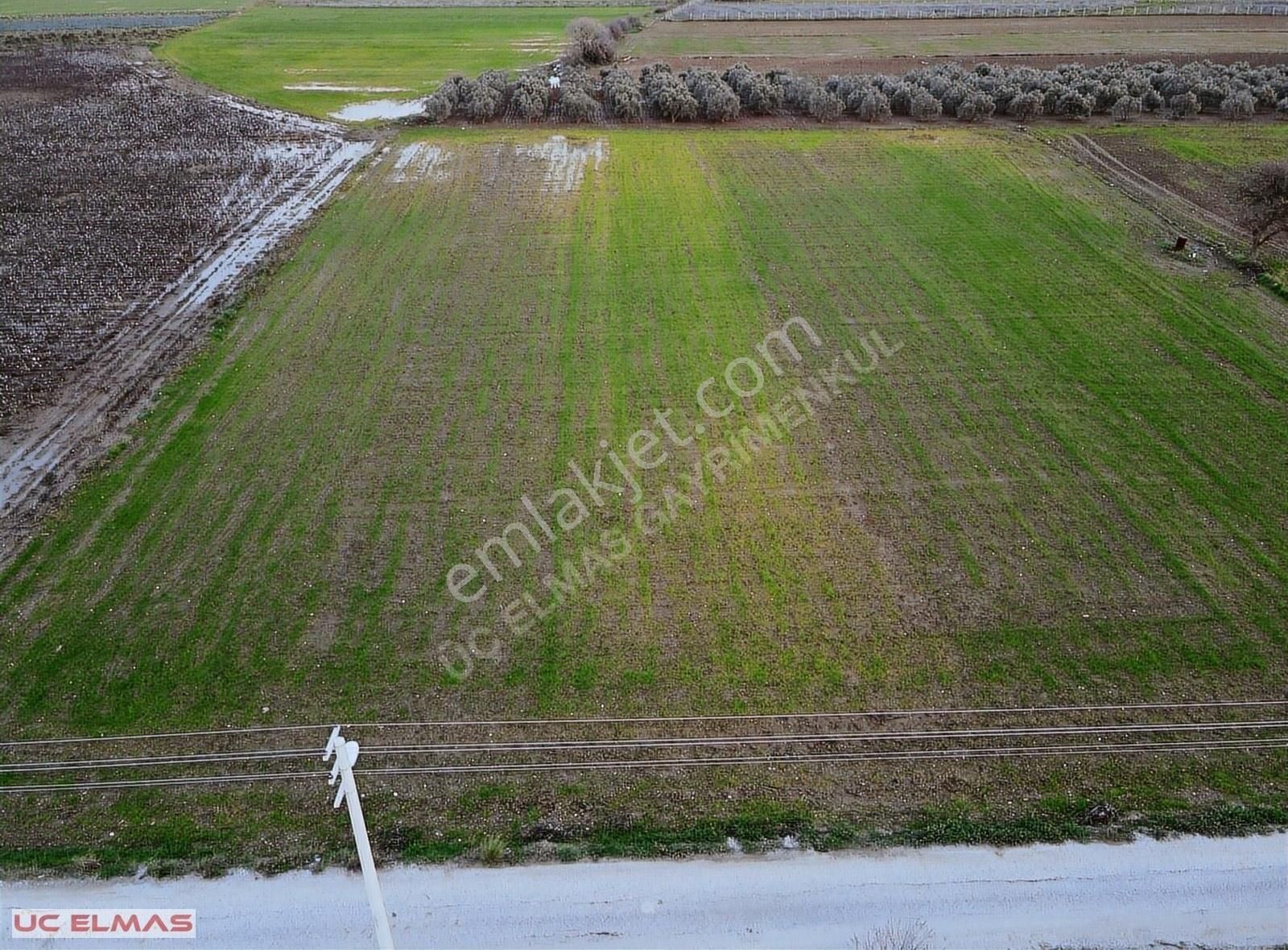 Üç Elmastan Dünya Güzeli 6.000 M² Tek Tapu Muhteşem Bir Arazi