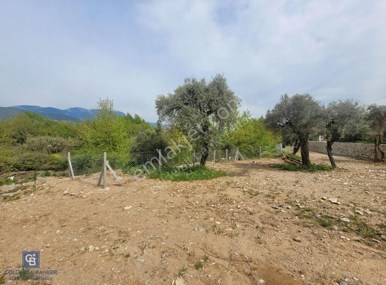 İzmir Torbalı Karakızlar Da Satılık Emsalsiz Tarla - Görsel 24