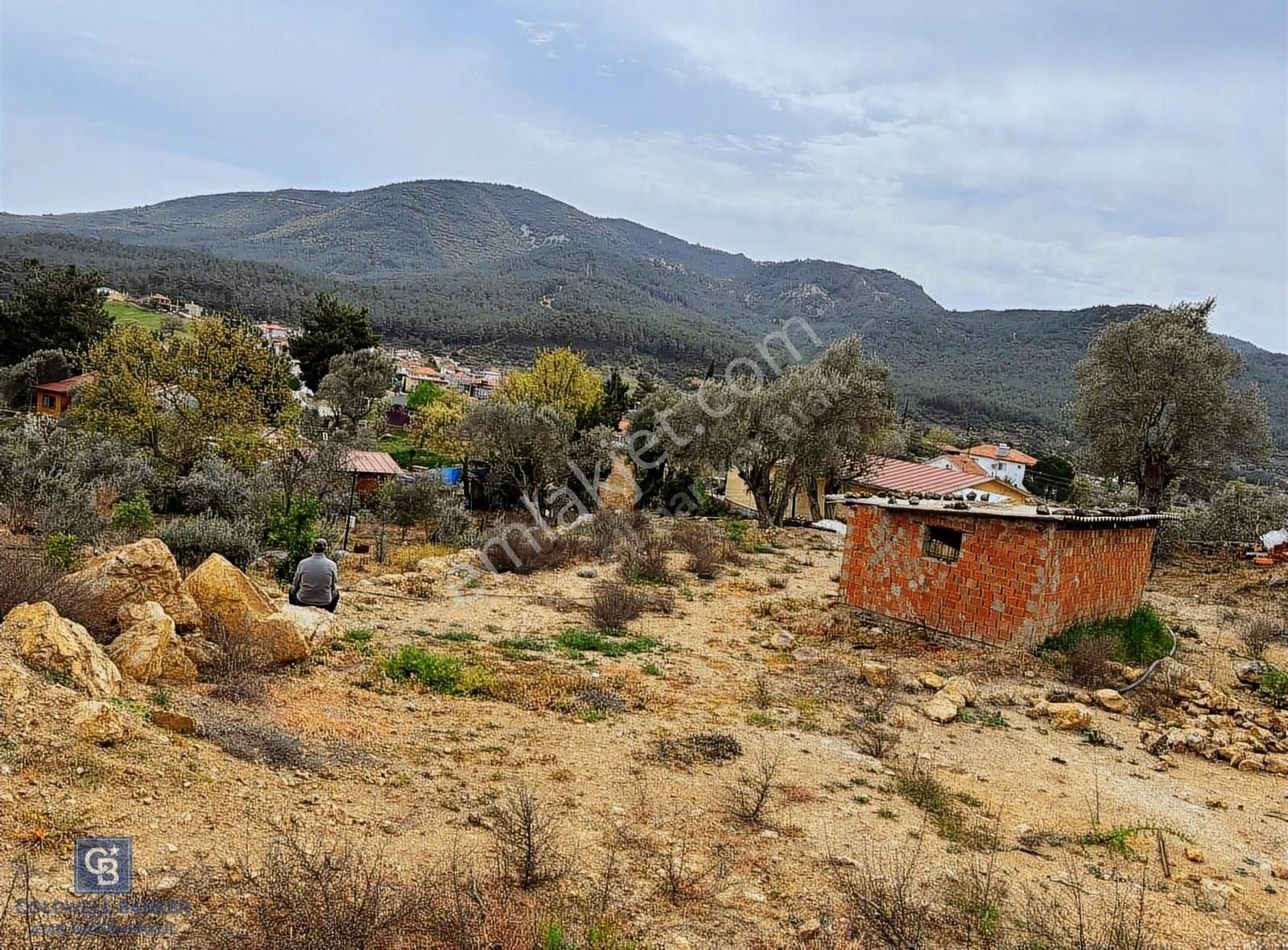 Seferihisar 10673 M2 Köyün Dibinde Tek Tapu Numaratajlı