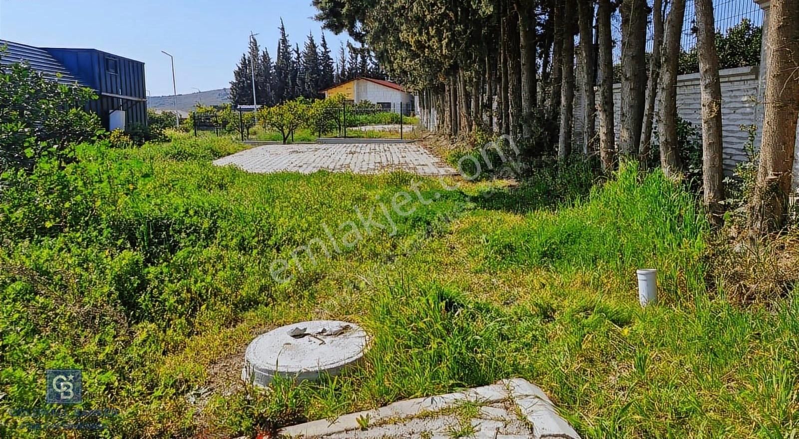 Seferihisar Köyüm Sığacık'ta Kiralık Tiny House Arsası