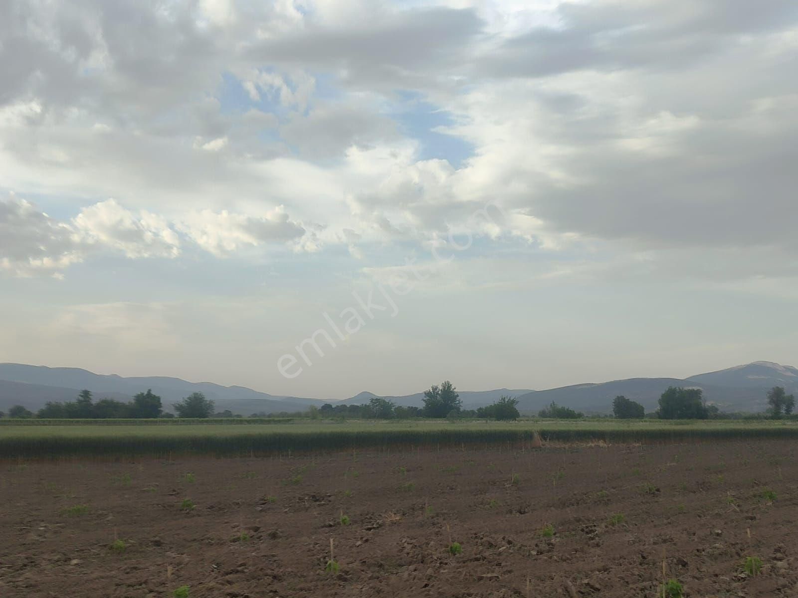 Satılık Tarla Manisa Saruhanlı Adiloba 11350 M2