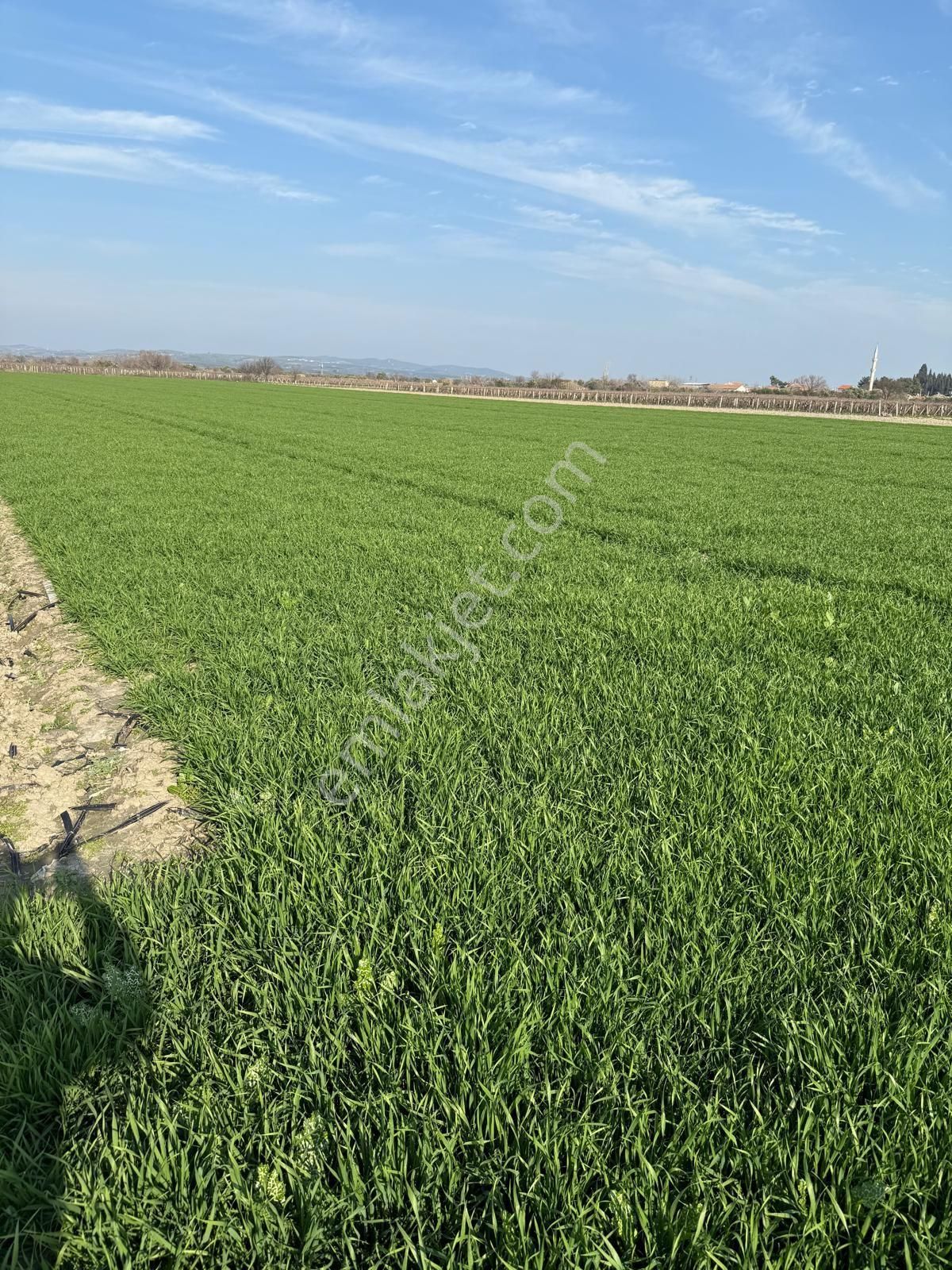 Satılık Tarla Manisa Saruhanlı Adiloba 11350 M2