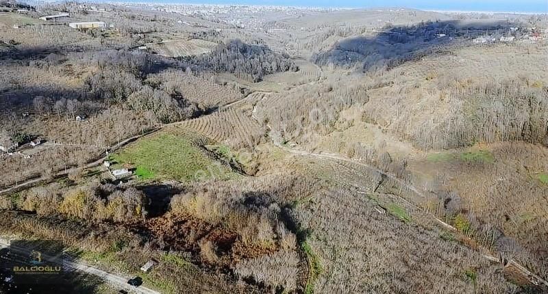 Balcıoğlundan Satılık Deniz Manzarlı Merkeze Yakın Müstakl Bahçe
