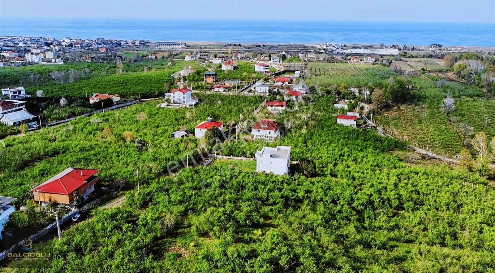 Balcıoğlundan Deniz Manzarlı Doğa İçinde Genş Arsa Yatırma Uygun