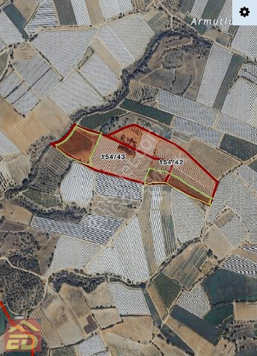 Dağcı Emlak Buldan Sarıgöl Dadağlıda Satılık Yetişkin Üzüm Bağı
