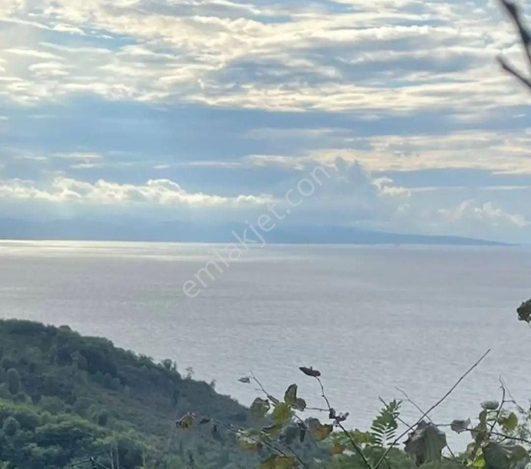 Ordu Persembe Çaytepede 1159 M2 Essiz Deniz Doga Manzarali İmarli Arsa