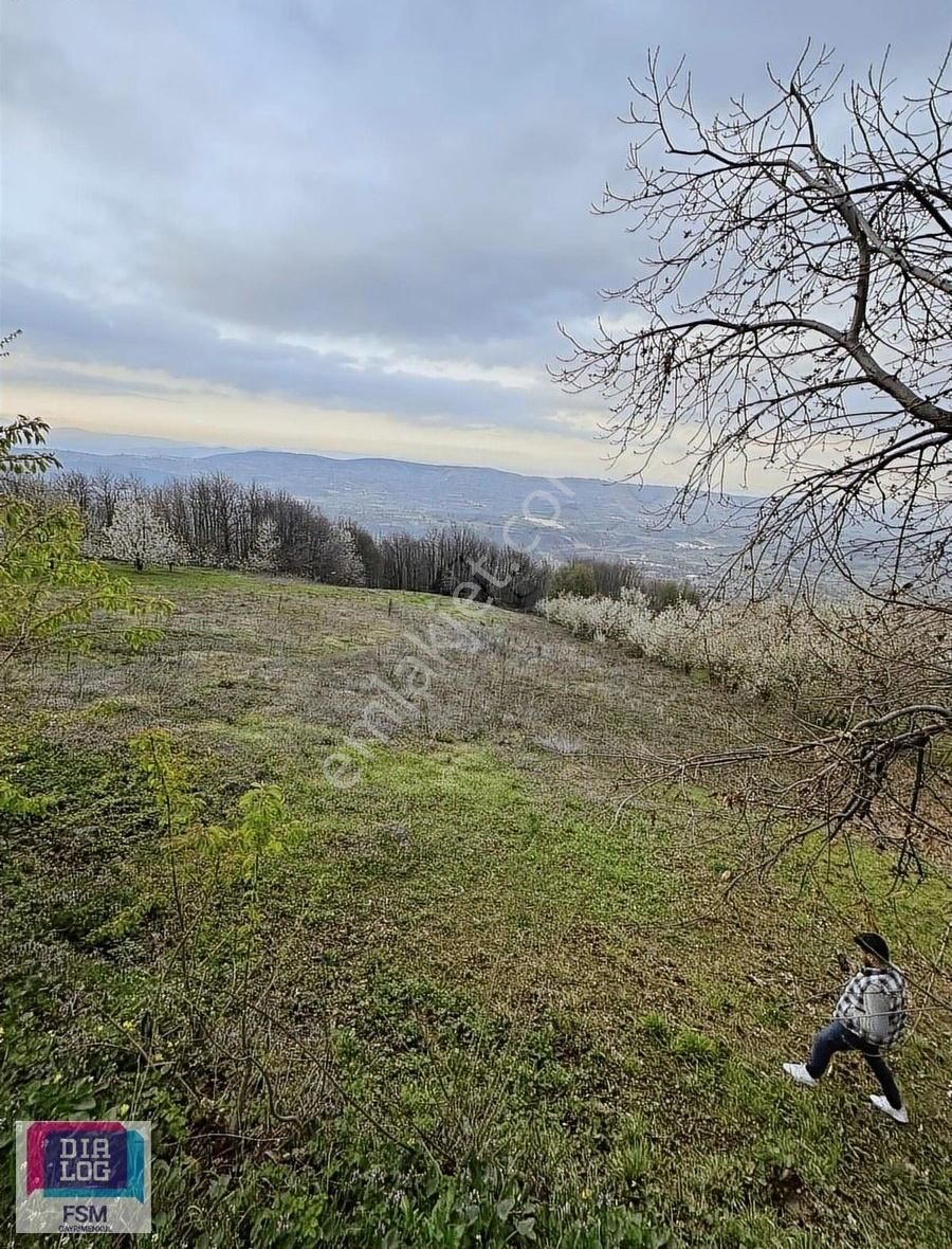 Dialog Fsm'den Kestel Babasultanda 5743 M² Yatırımlık Arazi