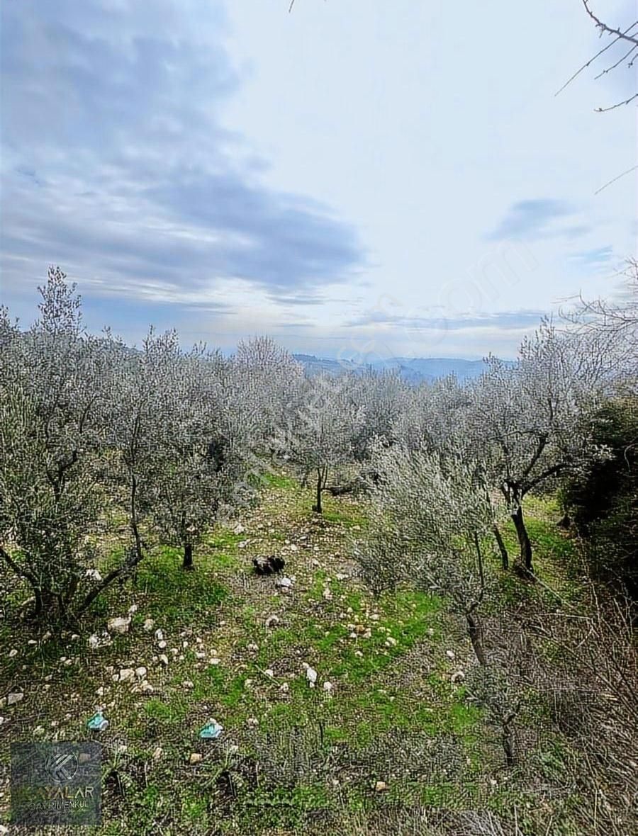 Mudanya İpekyayla Da Yola Cephe Köy İçi Fırsat Arazi
