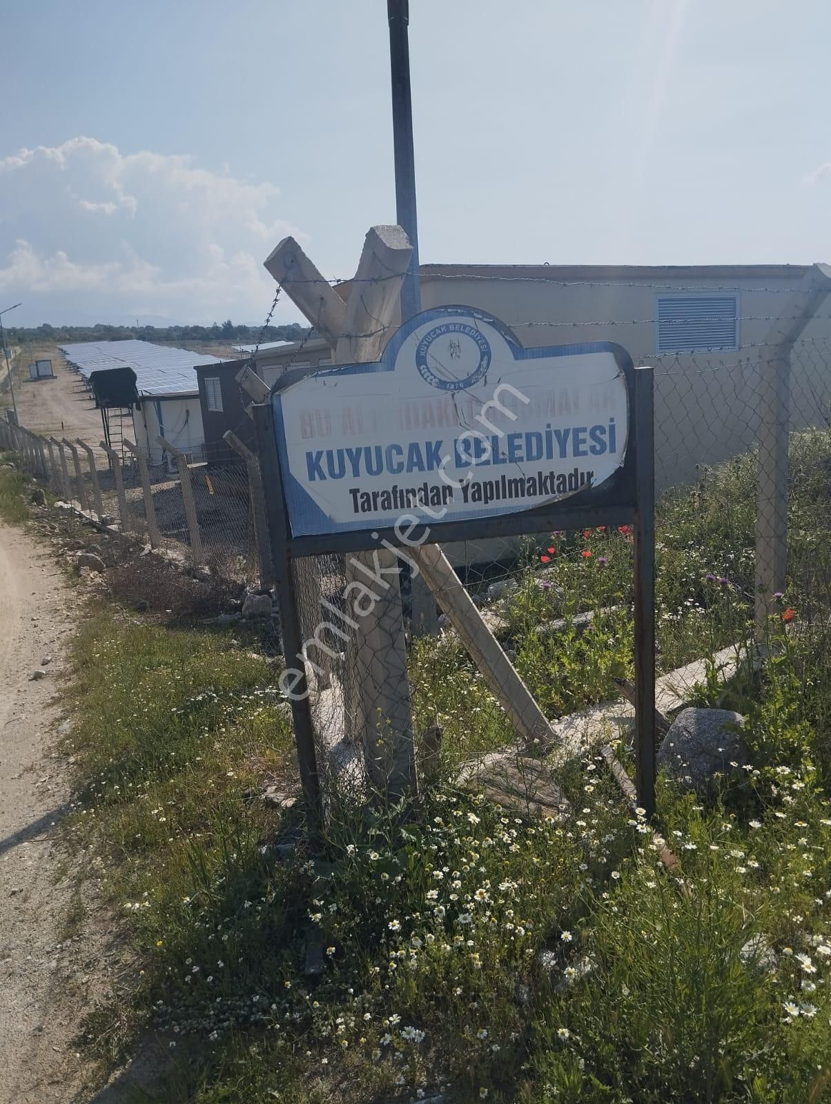 İzmir Torbalı Gold Emlaktan Aydın Kuyucakta Satılık İncir Ve Zeytin Bahçesi - Görsel 5