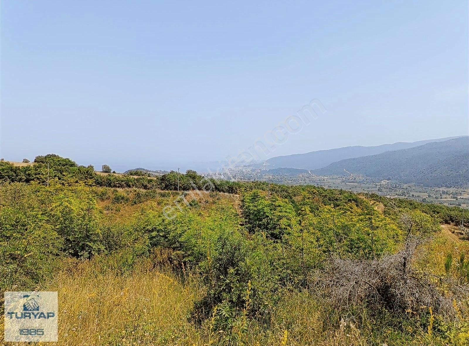 Çınarcık Şenköy'de Deniz Ve Doğa Manzaralı Satılık Arsa