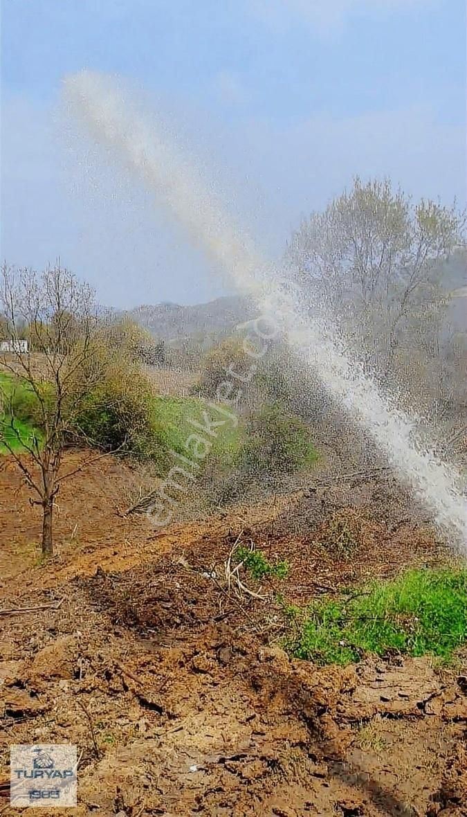 Altınova Da Satılık Tarla