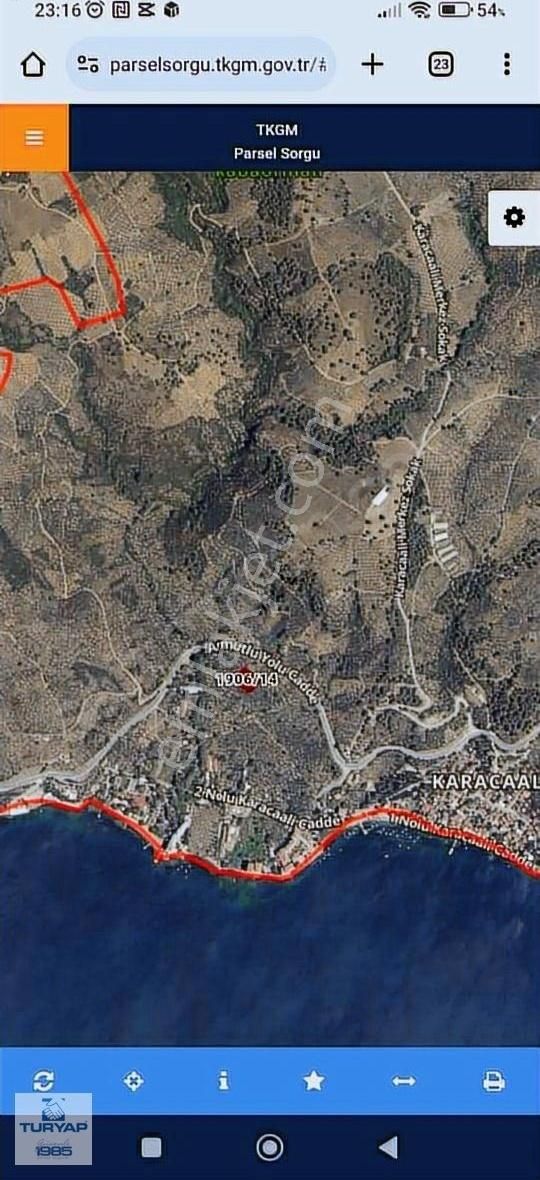 Bursa Gemlik Karacaalide Satlık 1589m2 Zeytinlik