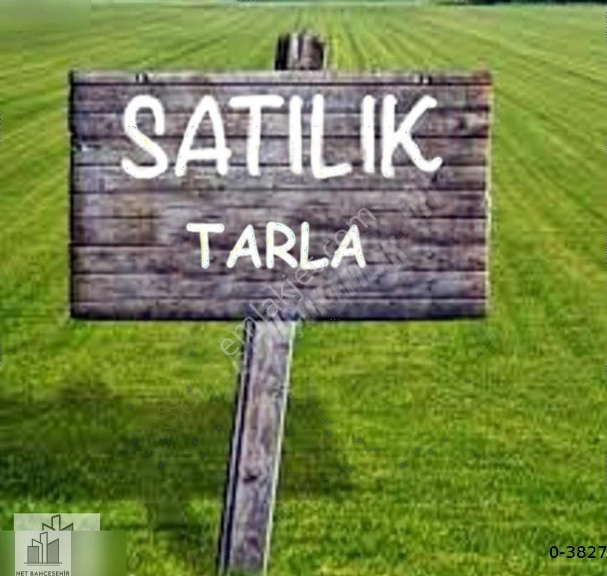 Antalya Korkuteli Satılık Tarla!